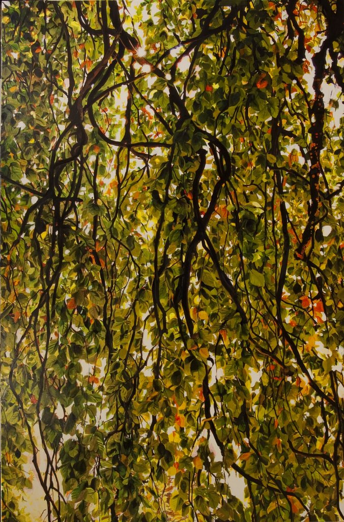 Seeing the forest for the trees, 2009