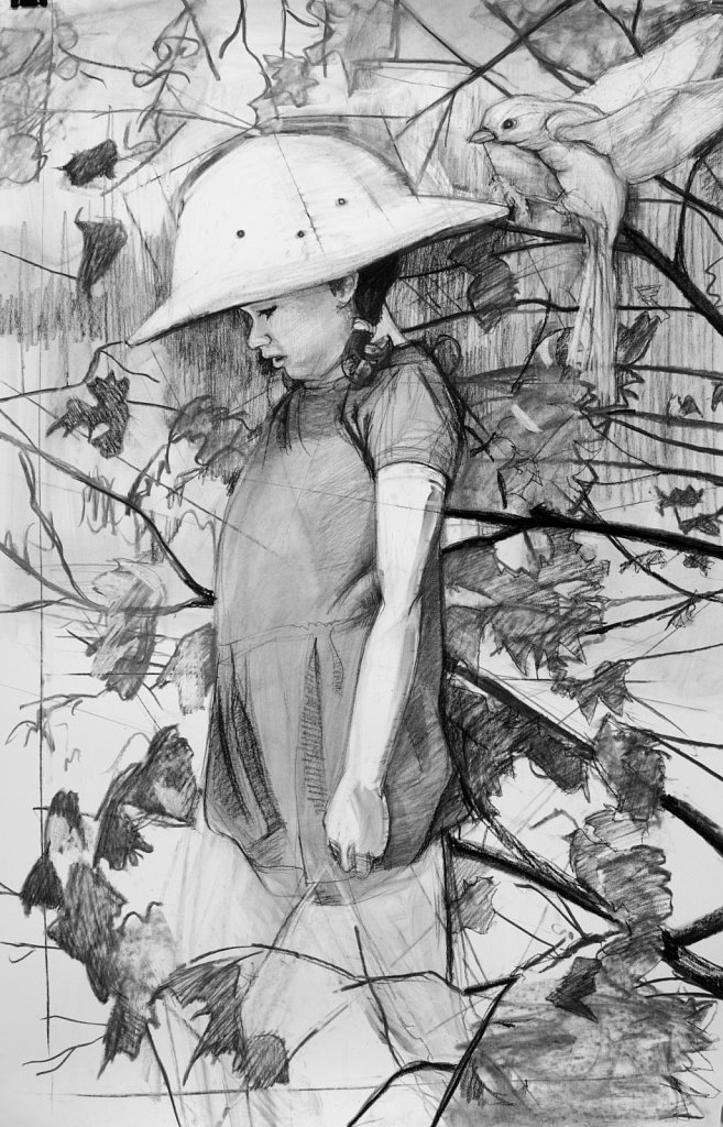 Discovery series, 2015